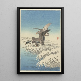 Ohara Koson - Flock of ducks flying above snowy reed collar.webp