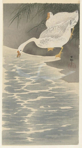 Ohara Koson - Geese on the bank.webp