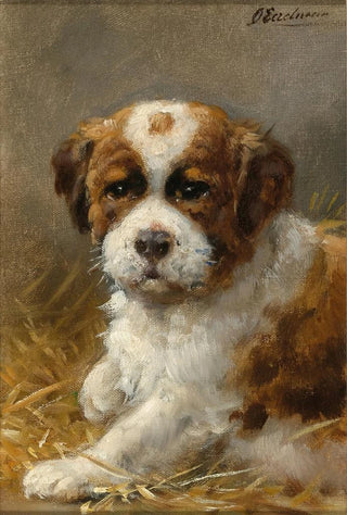 Otto Eerelman - A Young St Bernard.webp