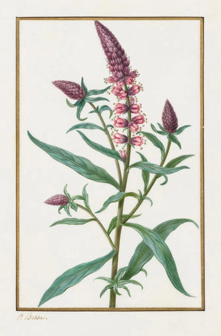 Pancrace Bessa - Untitled.webp