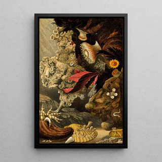 Philip Henry Gosse - Lophohelia prolifera Peachia triphylla Sphenotrochus Wrightii S Macandrewanus.webp