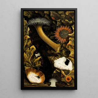 Philip Henry Gosse - Sagartia troglodytes S viduata S pallida S pura Adamsia palliata.webp