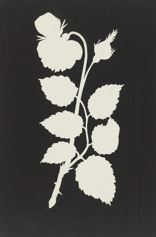 Philipp Otto Runge - Rose.webp