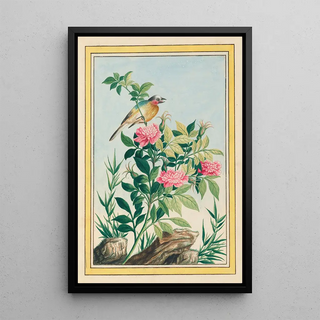 Pierre Joseph Buchoz - Plantes de Chine Pl005.webp