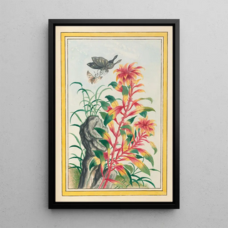 Pierre Joseph Buchoz - Plantes de Chine Pl076.webp