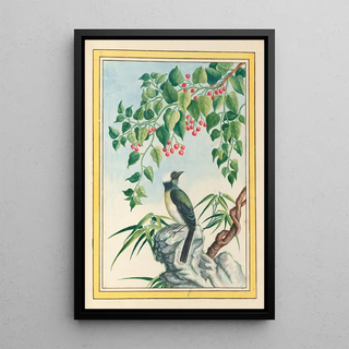 Pierre Joseph Buchoz - Plantes de Chine Pl090.webp