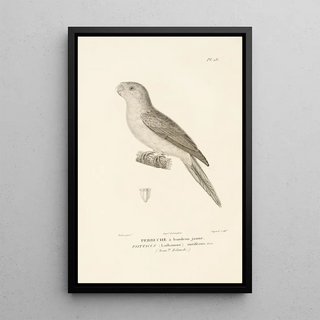 RenPrimevre Lesson - Centurie zoologique Pl18.webp