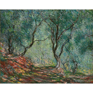 Reproduction Bois d'Oliviers au Jardin Moreno - Claude Monet