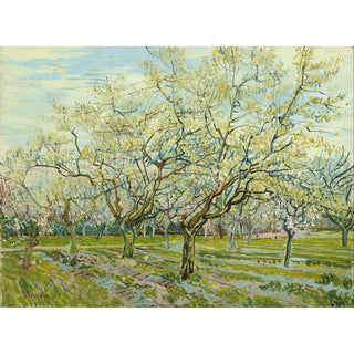 Reproduction Le verger blanc - Vincent van Gogh