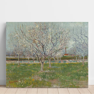 Reproduction Verger en fleurs Pruniers - Vincent van Gogh