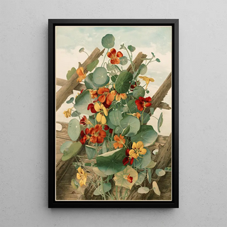 Thaddeus Welch - The Nasturtiums No 2.webp