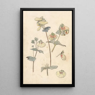 Theo Nieuwenhuis - Bloemstudies.webp