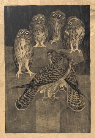Theo van Hoytema - Steenuilen en torenvalken.webp