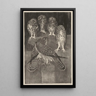 Theo van Hoytema - Vier steenuilen en twee torenvalken.webp