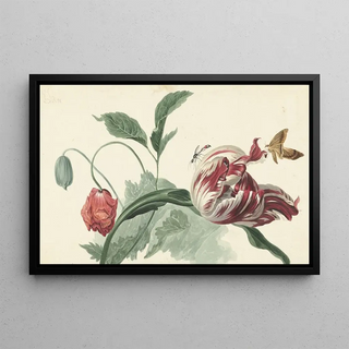 Willem van Leen - Tulip and a Poppy.webp